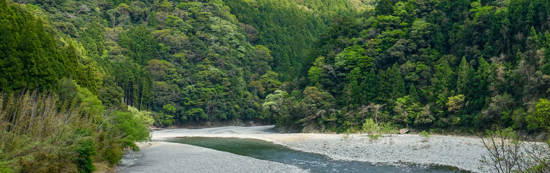 秋葉山の風景